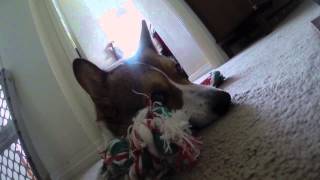Broading kinda lazyish