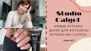 STUDIO CALGEL/ НОВЫЕ ОТТЕНКИ/ ФОТОЗОНА/ ОГРАБЛЕНИЕ САЛОНА