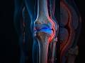 Why Your Joints Feel Stiff Without Water | Synovial Fluid Explained