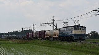 貨物列車 (EF652101)