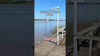 Pesca en Zárate, isla.