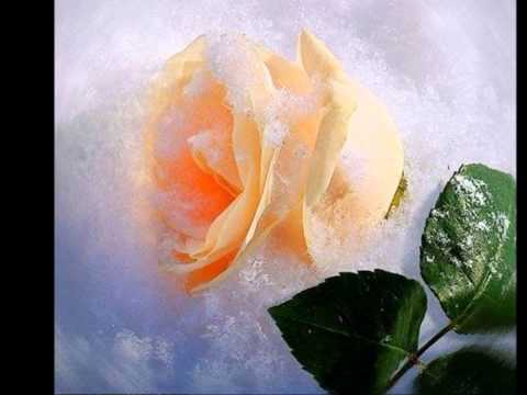 თუ  მოვკვდები სიყვარული  იწამე