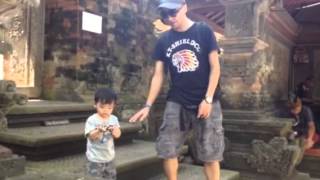 1030429，我們在峇里島的第三天
