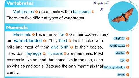 connect plus 4 | unit 2 lesson 1 | read and learn