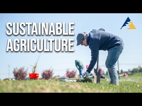 Installing Sustainable Farming