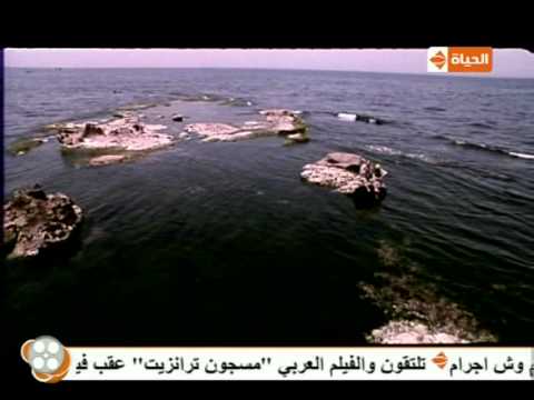 شعر محمد هنيدي   