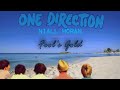 Fool&#39;s Gold - One Direction &amp; Niall Horan (split audio)