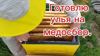 Готовлю улья на медосбор.