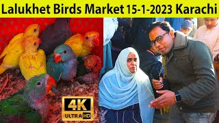 Lalukhet Exotic Birds Parrots and Hen and Rooster Market 15-1-2023 Karachi | Unique and Rare Birds