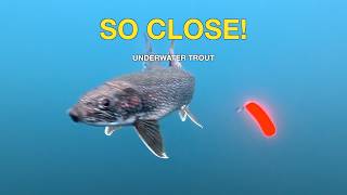 Trout Almost Bites the Lure! | Underwater View