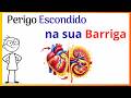 Como diminuir a gordura visceral e proteger seu coração e seus rins? A Ciência Explica