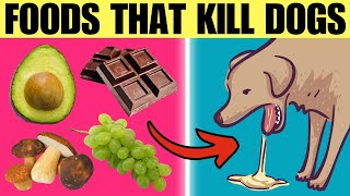 18 Common Foods That Will KILL Your Dog (MUST WATCH!)