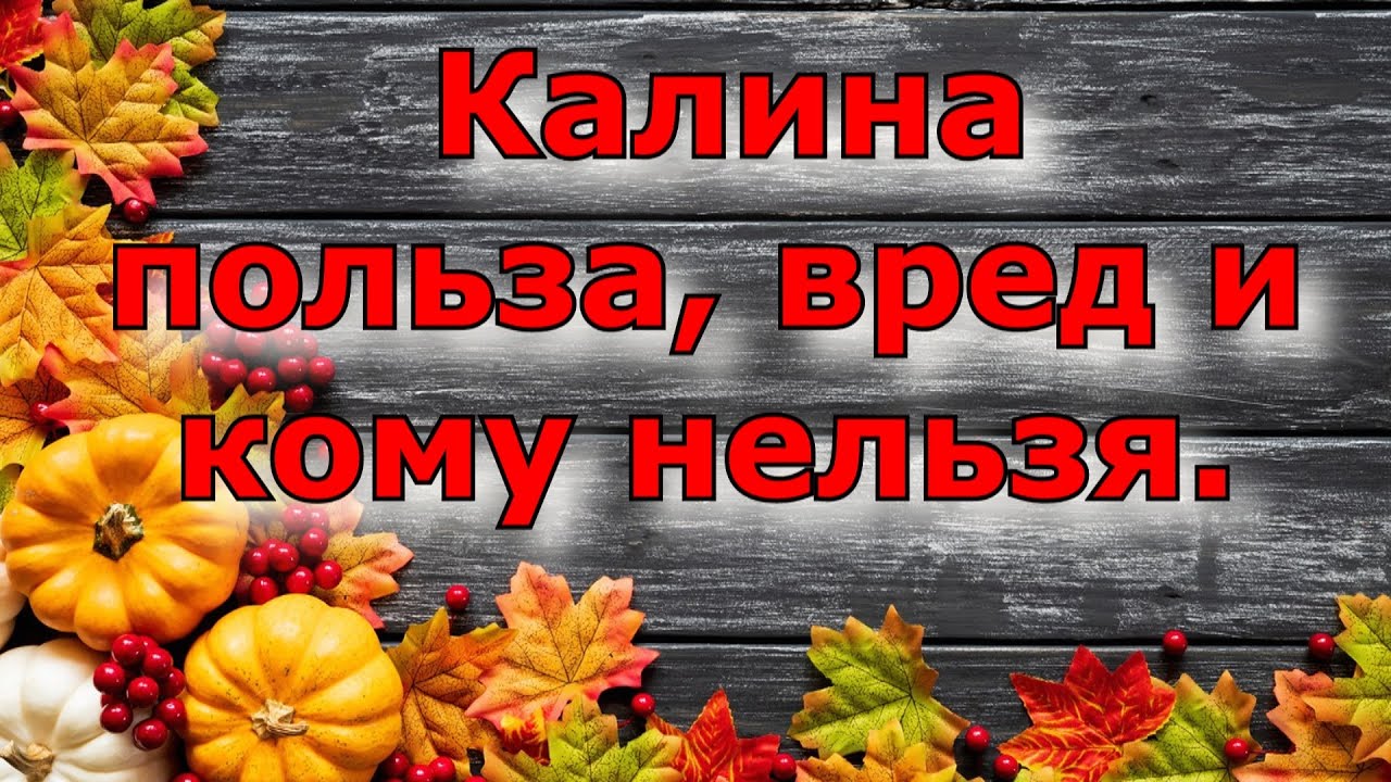 Польза и вред калины