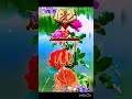 maa baap ho zinda karo in ke gulami islamic path urdu religion aalamurdu #islamicmusic