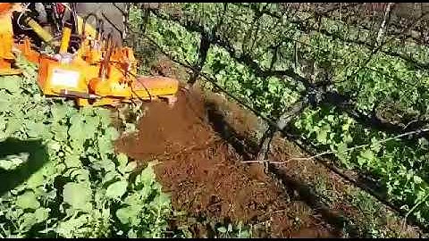 IKAPA AGRICALTURAL EQUIPMENT: INTER-ROW POWER HARROW