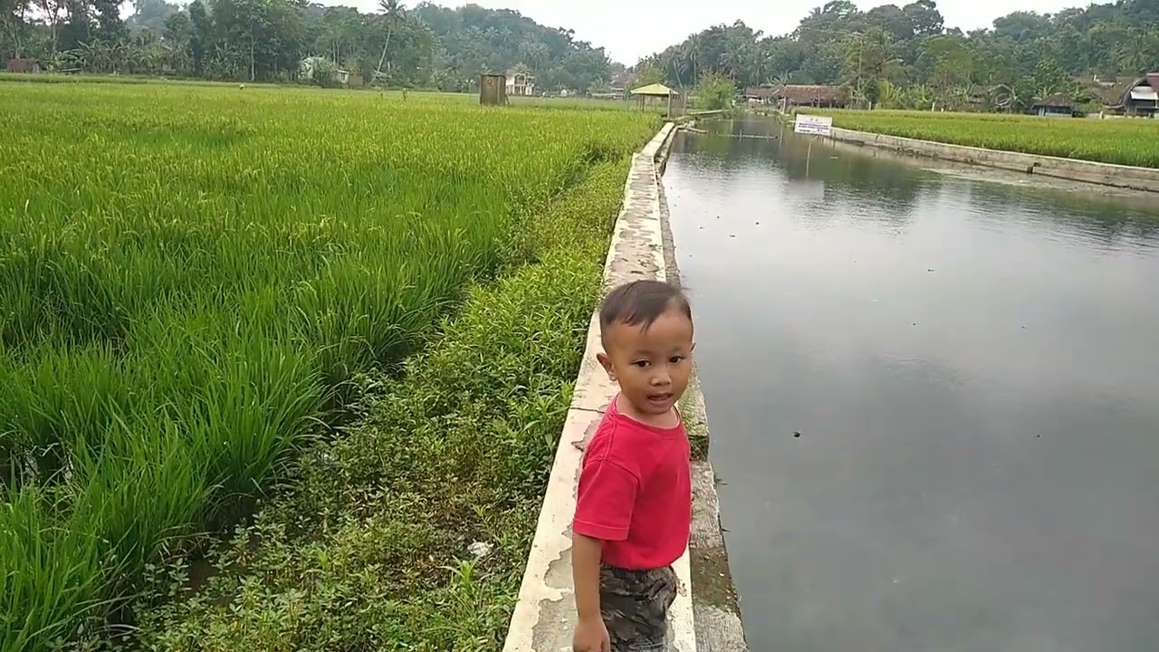 Hari ke 3 Puasa jalan² ke mata air Cikandung bareng Shaqil, yg biasanya rame ternyata masih sepi 