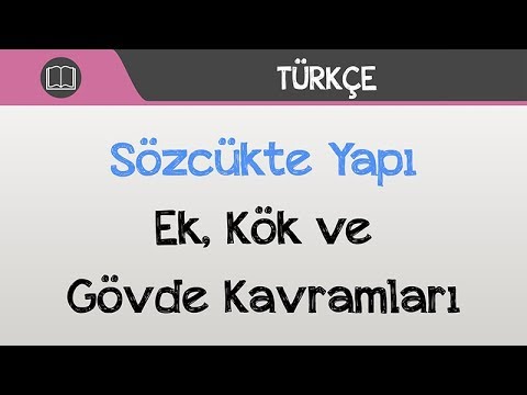 Sözcükte Yapı - Ek, Kök ve Gövde Kavramları