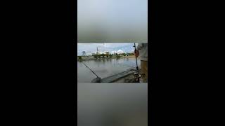 Pantai Oloocean Pasific,Panen Ikan Ket-Kett3T3K Mancing Seru Part 5