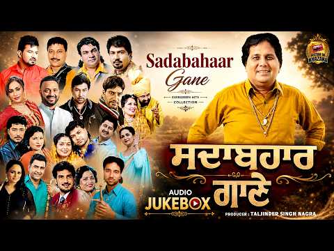 ਸਦਾਬਹਾਰ ਗਾਣੇ 🎶 Punjabi Evergreen Hits | Non Stop Audio Jukebox | Old & New Punjabi Superhit Songs