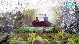 River Safari Grand Opening screenshot 5