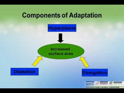 Video: Magagalit Bowel Syndrome