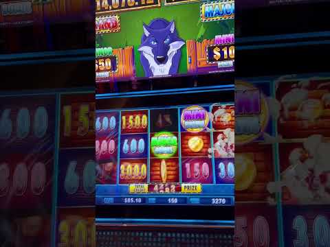 Aldo Haydar - Casino Golden Hits Live 2020
