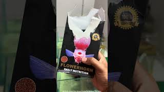 Flower horn fish feeding time🤯Flowerhorn💥#food #fish #flowerhorn #viral #shorts