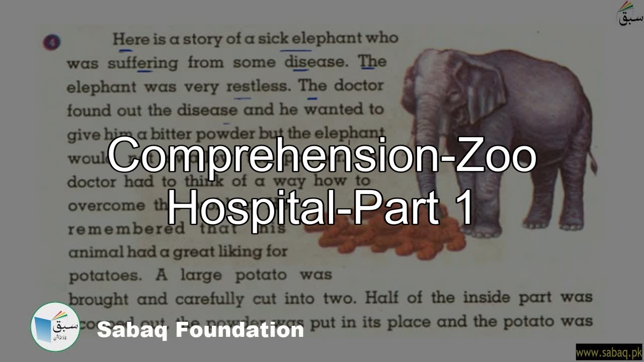 Comprehension-Zoo Hospital-Part 1, English Lecture | Sabaq.pk