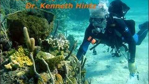 Automated Video Tracking Device using MATLAB (Credits)