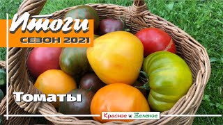 Томаты 2021. Итоги сезона