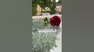 الشيخ احمد العجمي سوره الملك
