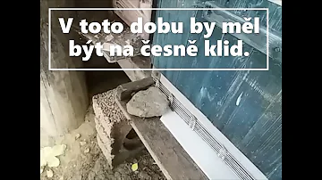 Proč je česnek silně vonící?
