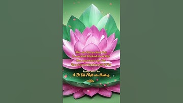 Đời này chắc chắn vãng sanh Tịnh độ. A Di Đà Phật #niemphat #adidaphat #vinhchau #cantho #hanoi