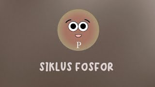 Animasi Siklus Fosfor - Biologi