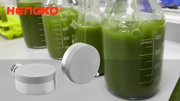 Disc diffusion stone - HENGKO