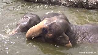 ☀ Summer & pure joy of life with Sandry & her daughter Kalaya 😍💦 Himmapan Elephant Park 🐘🌴