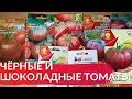 Обзор Шоколадных Томатов. Новые и любимые сорта чёрных томатов.