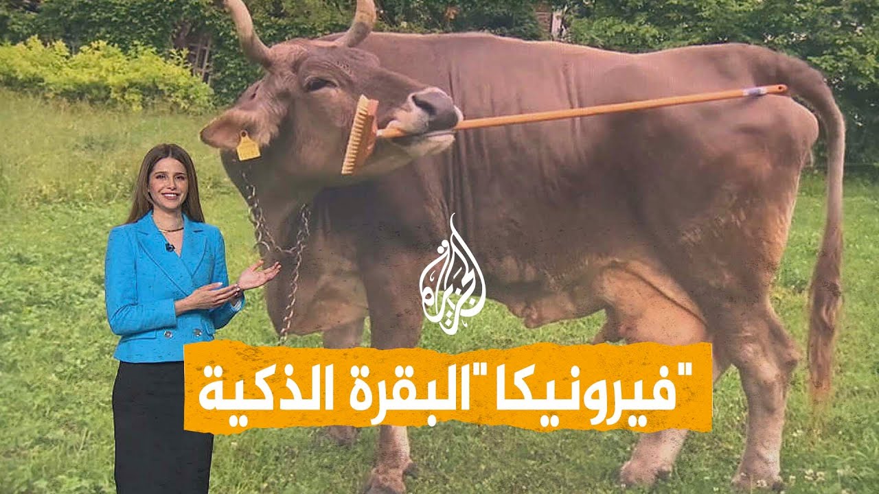 ����� | ���� ���� �� ������.. -��������- ���� ����� ��������
 - نشر قبل 14 دقيقة