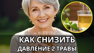 Как снизить давление: Отвар 2 трав для сердца