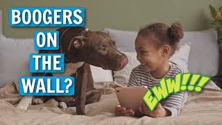 Say Goodbye to Pet Boogers on Your Walls - Tips for Easy Removal