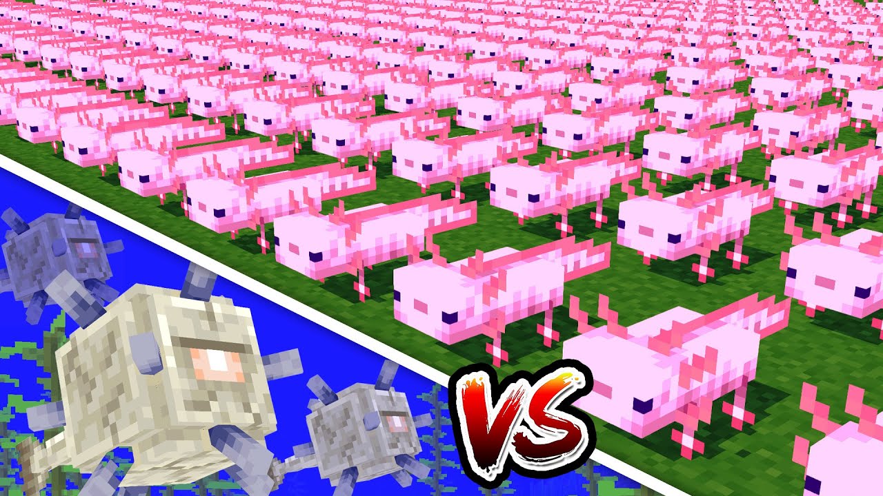 マイクラ1 17 新生物 ウーパールーパー ヒカリイカ追加 赤髪のとも 的youtube视频效果分析报告 Noxinfluencer