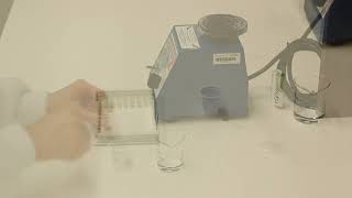 Agdia ELISA Video 5: Preparing Capture Antibody and Coating the ELISA Plate