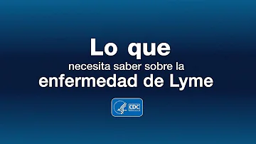 ¿En qué país es más frecuente la enfermedad de Lyme?