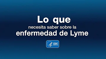 ¿Qué imita la enfermedad de Lyme?