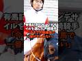 有馬記念でダノンデサイルを選んだ戸崎騎手「今までの騎乗馬で一番かもしれない」 #競馬  #競馬反応集  #有馬記念 #shorts