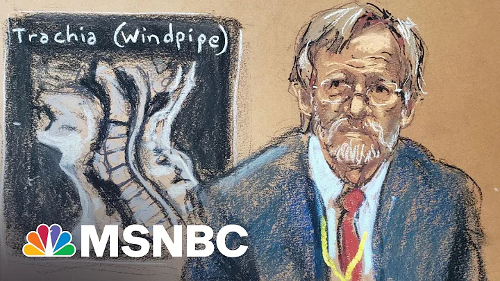 Lung Expert's Stunning Testimony: Floyd Died From Low Oxygen | The 11th Hour | MSNBC