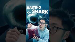 Baiting Shark with Blood? Here's What Happened