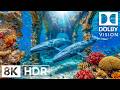 Unseen Blue Ocean Creatures in 8K HDR | Dolby Vision™