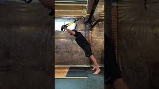 TRX Fallout + Triceps Extension