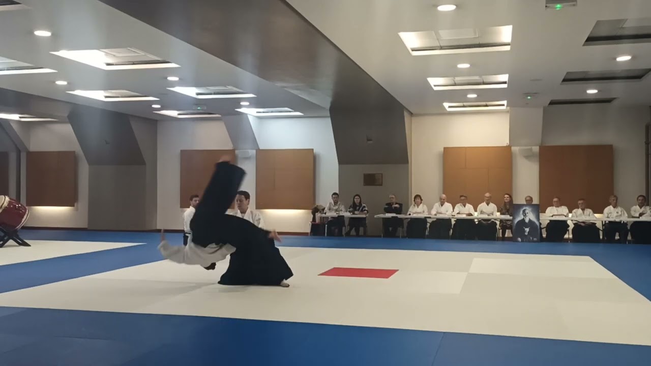 Démonstration aïkido - Kagami Biraki 2024 - Monique Girardoz